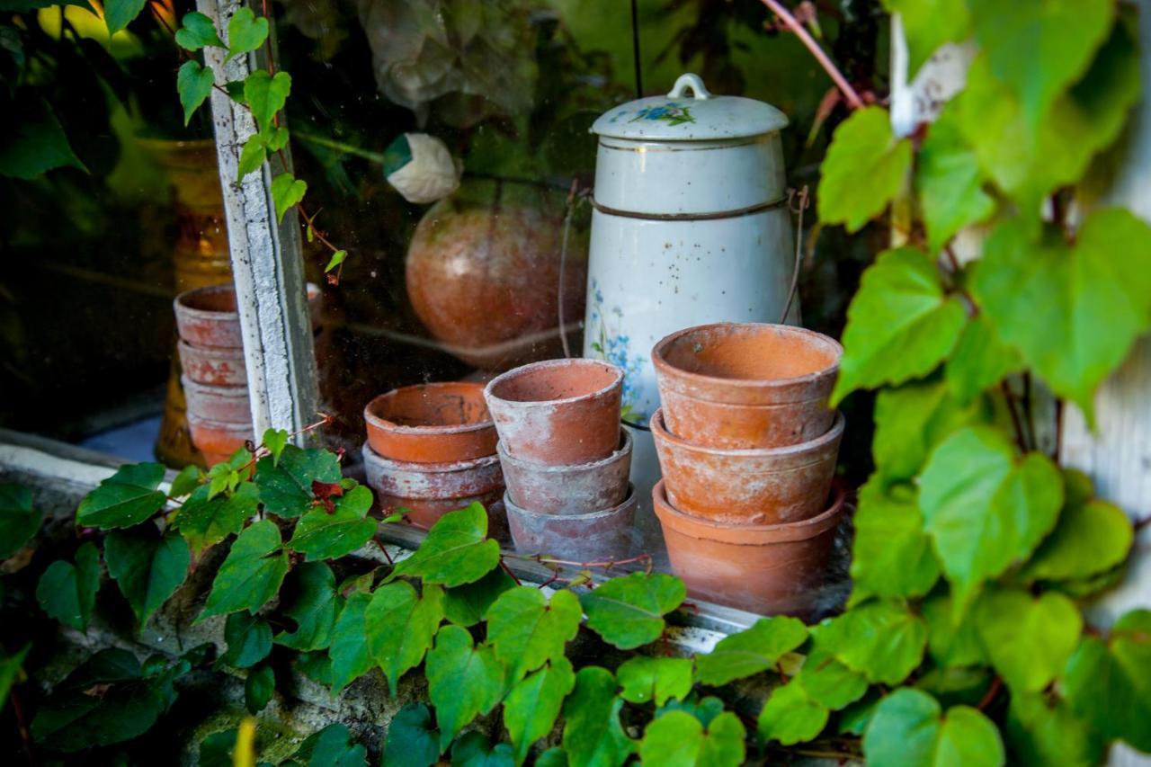 Jardin Et Hotel Particulier Bayeux Bagian luar foto